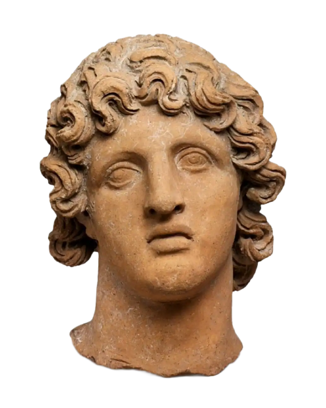 Antico busto in marmo greco di un giovane uomo con capelli ricci, che mostra l'arte della scultura classica.