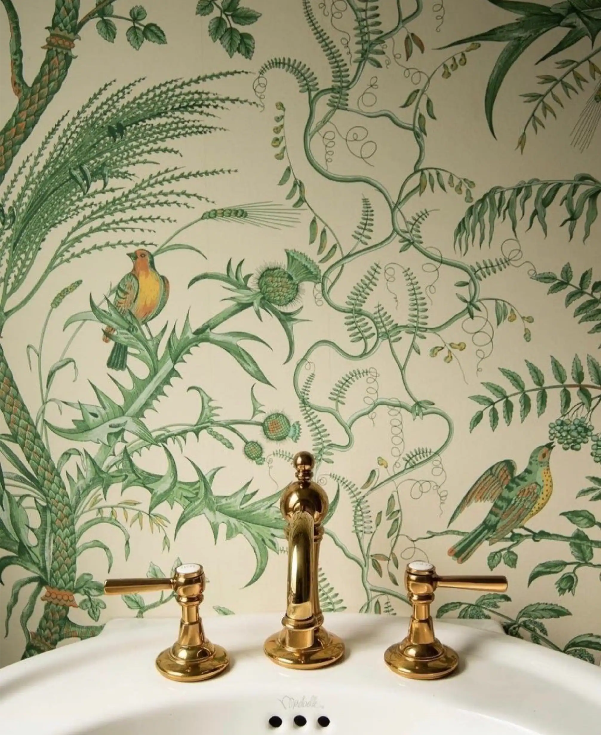Rubinetto dorato con lussuosa carta da parati botanica verde con uccelli e piante tropicali.